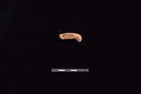 藏品(陶把)的圖片